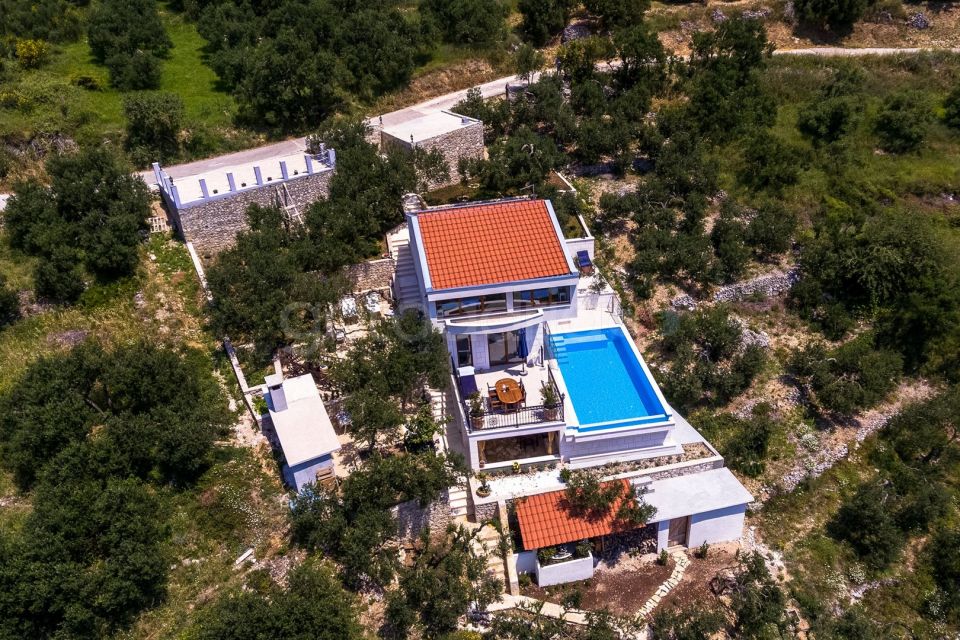 Luxury Villa Olive