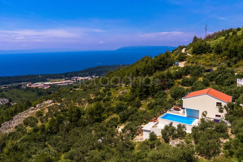 Luxury Villa Olive