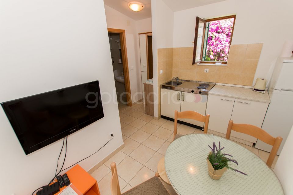 Apartman u centru Tonka V 