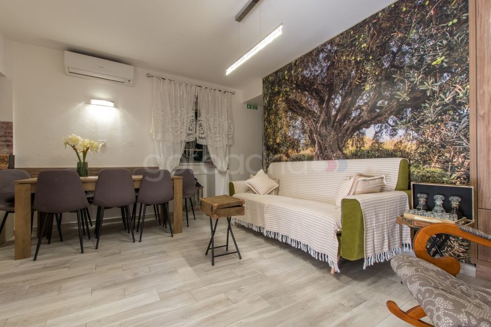 Apartman Jadrea u centru