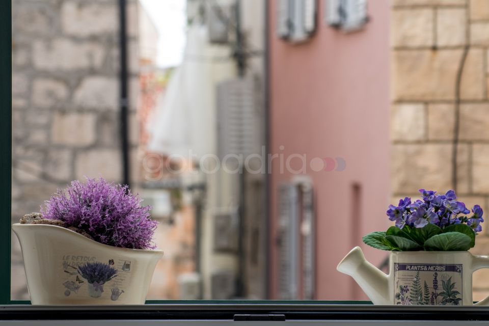 Old Town apartment Jadre