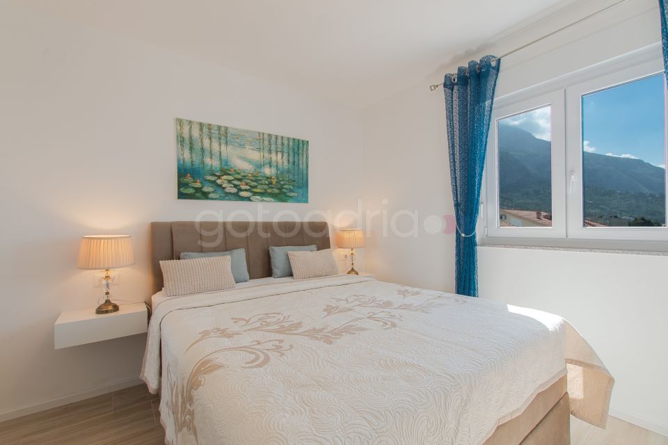 Apartman Jan XXVIII