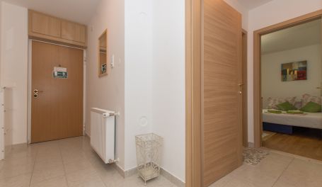 Apartman u centru Silva II