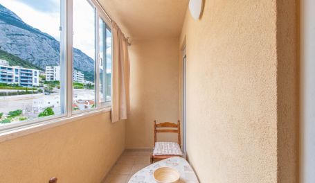 Apartman u centru Silva II