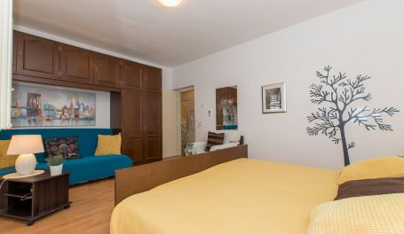 Apartman u centru Clea 