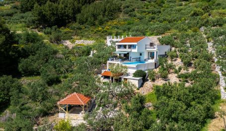 Luxury Villa Olive