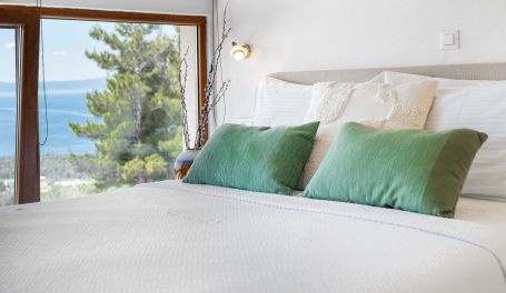 Luxury Villa Olive