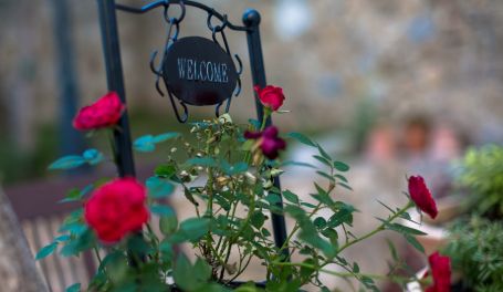 Villa Olive