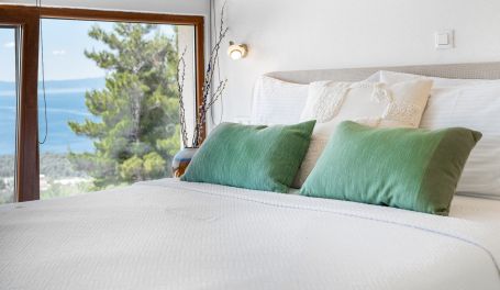 Luxury Villa Olive