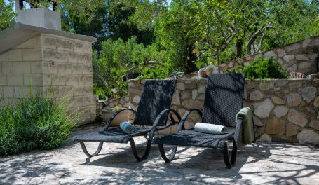 Luxury Villa Olive