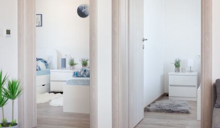 Luxury apartment Sofia
