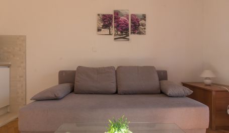 Apartman Rose VIII