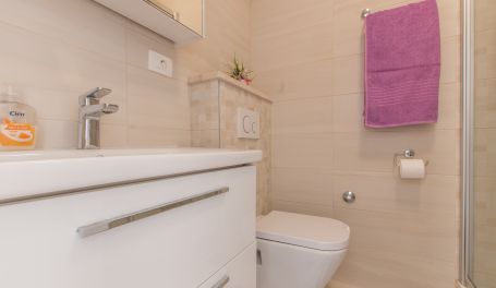 Apartman Rose VIII