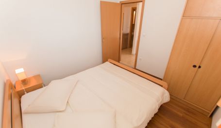 Apartman u centru Tonka IV