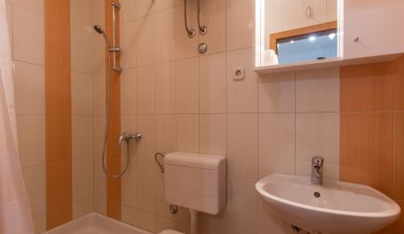 Apartman u centru Zorica III 