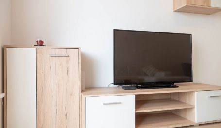 Apartment Rosa