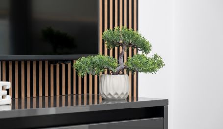 Apartmani Maslina I