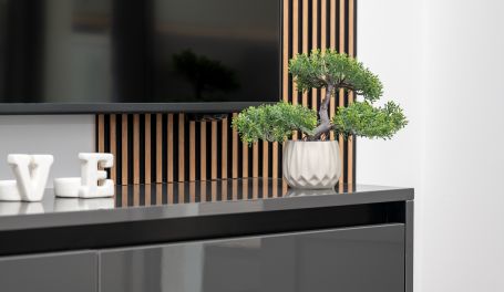 Apartmani Maslina III